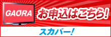 e2sptv_winter