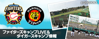 ファイターズキャンプLIVE&タイガースキャンプ情報
