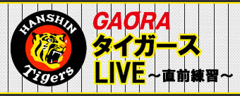 GAORAタイガースLIVE～直前練習～