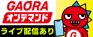 オンデマンドライブ配信あり