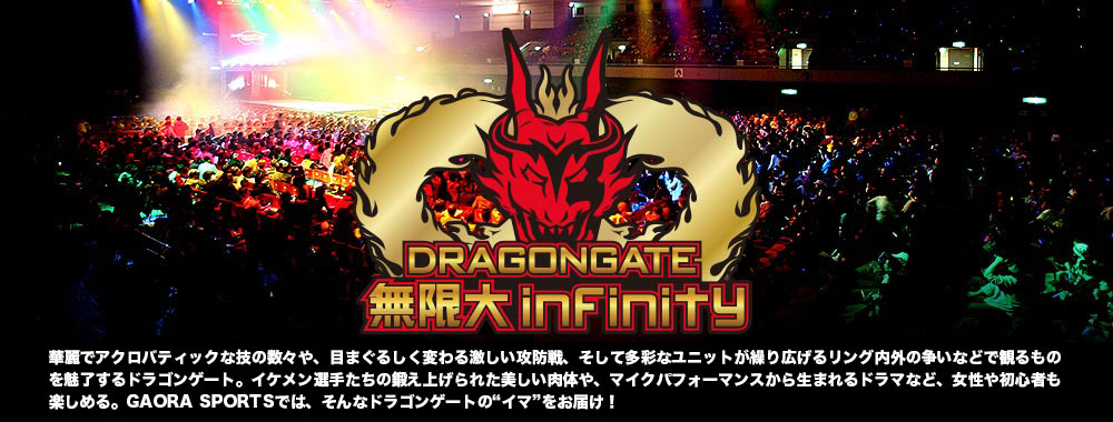 DRAGONGATE 無限大～infinity～