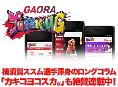 カキコヨコスカ