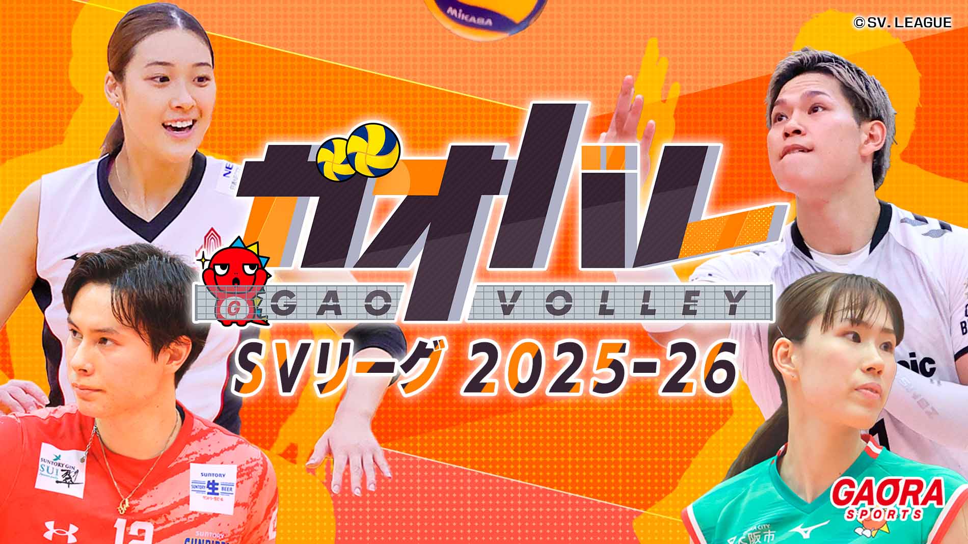 ガオバレ！SVリーグ 2025-26が観られる！GAORA SPORTS番組スケジュール