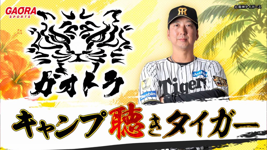 ガオトラ！キャンプ聴きタイガー2026｜GAORA SPORTS番組スケジュール