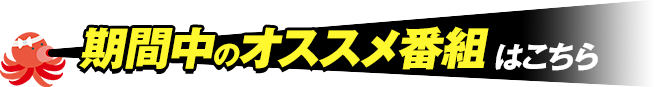 番組情報はこちら