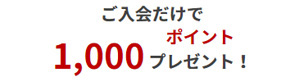 楽天銀行スーパーローンは申込みで1,000ポイント獲得！