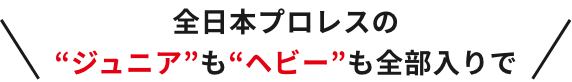 全日本プロレスの“ジュニア”も“ヘビー”も全部入りで