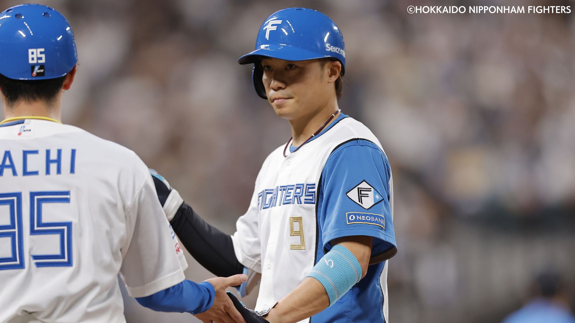 GAORAプロ野球中継（ファイターズ）
