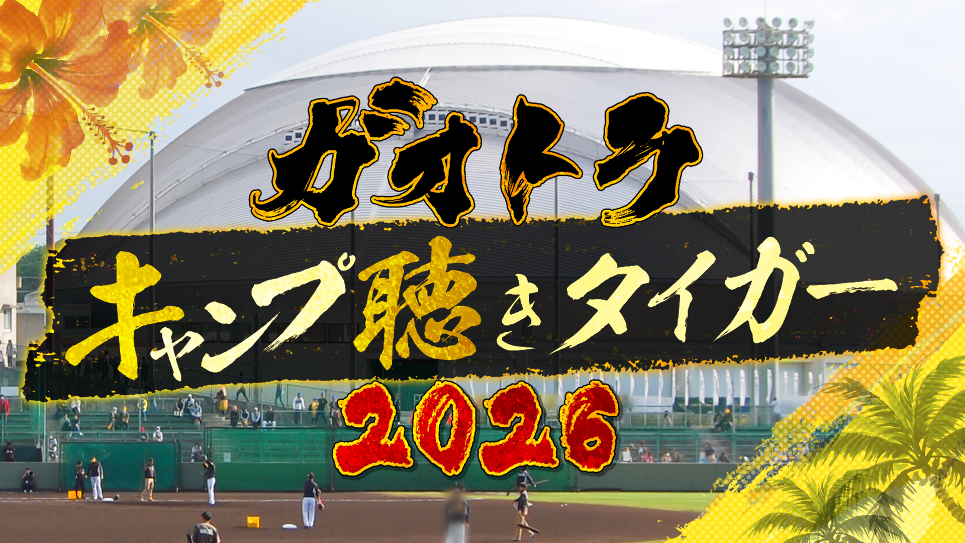 ガオトラ！キャンプ聴きタイガー2026
