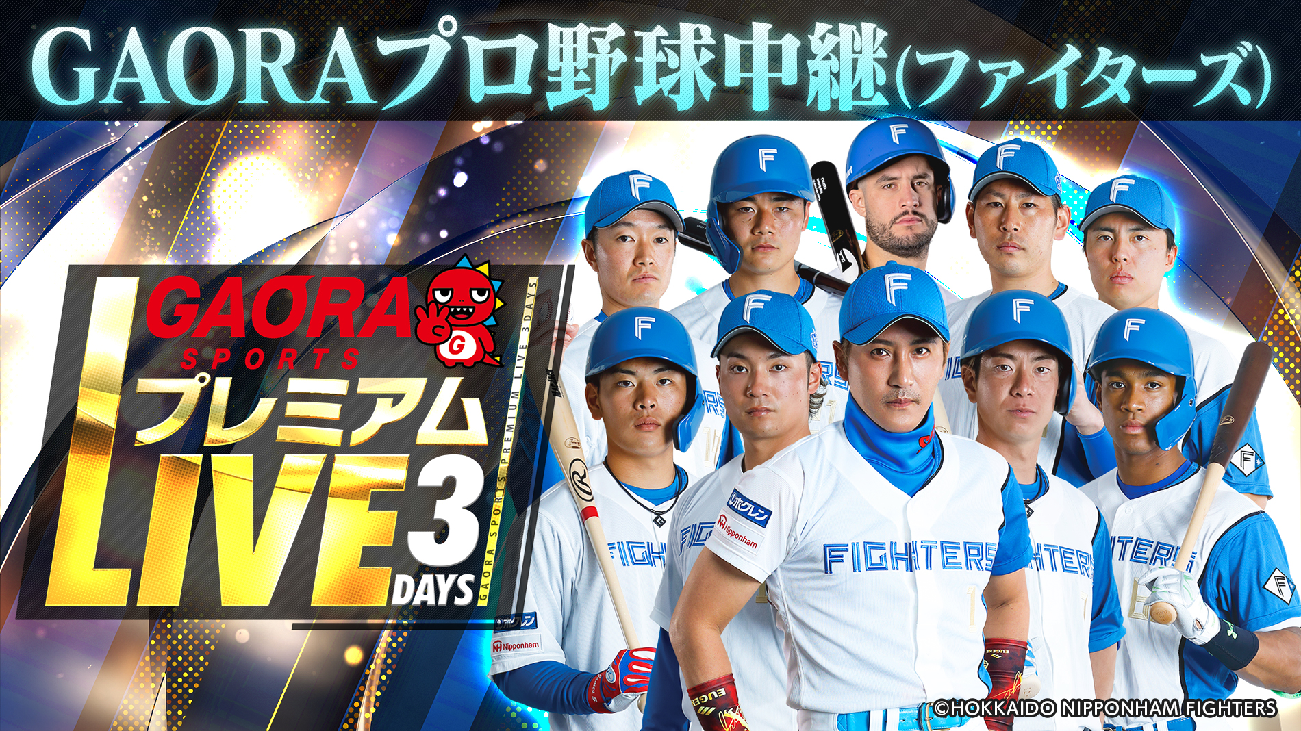 最終戦　西武対日本ハム　3塁側内野指定席Cペア　B6　9段