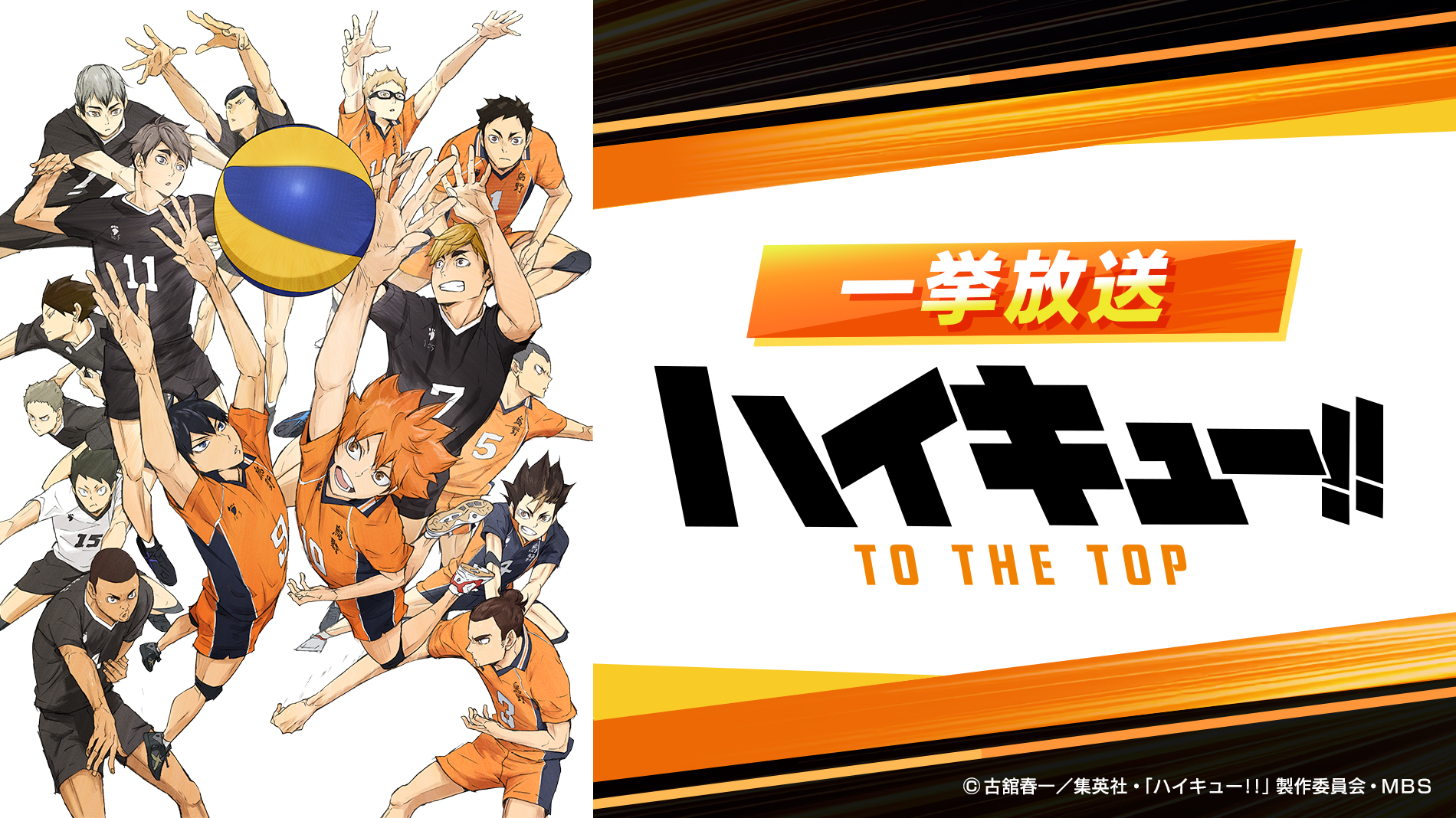 【一挙放送】ハイキュー!! TO THE TOP